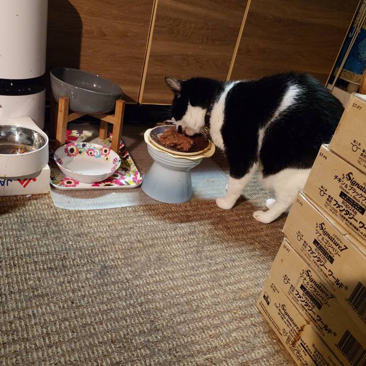 Abc7e5fd 920d 4fd0 a344 0ef8dcd5c4c9 1762605666087