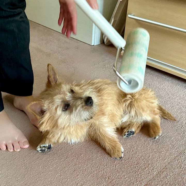 Abc801ef eff0 4cac 800c f176e882f436 1713021665088