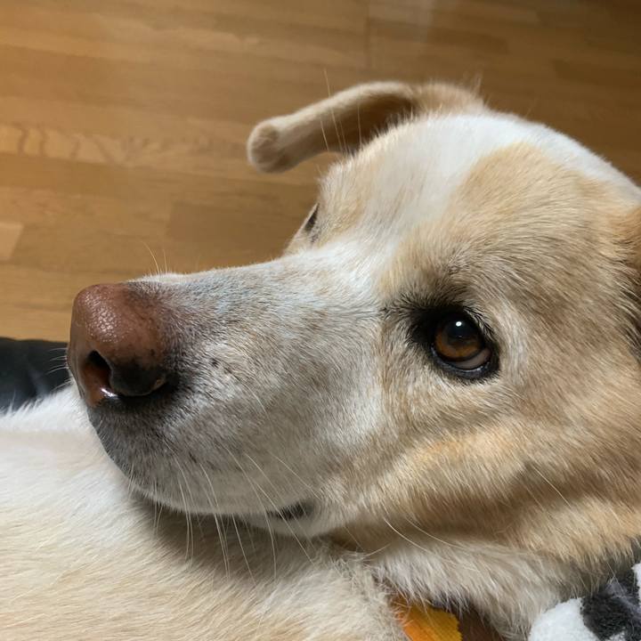 Abc811db 5c22 4d6e beed 82d1cbd224f0 1607613485920