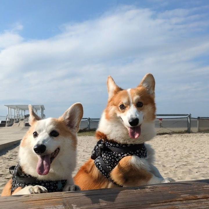 Abc83b99 c8da 474d a5e4 f01242edd3a1 1761822349781