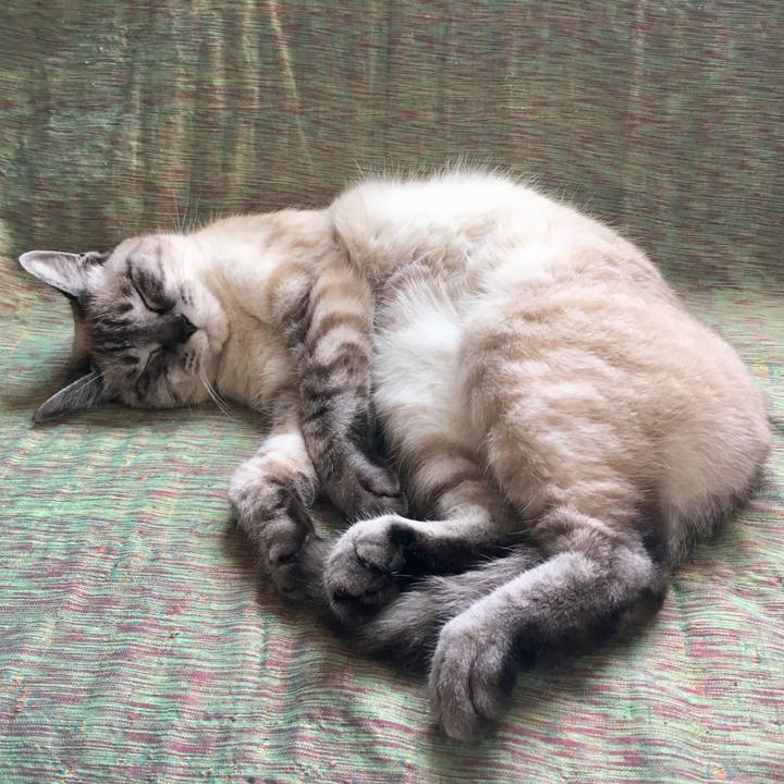 Abc83fdd 028f 45d6 a82e aca02f3f645f 1591607024677