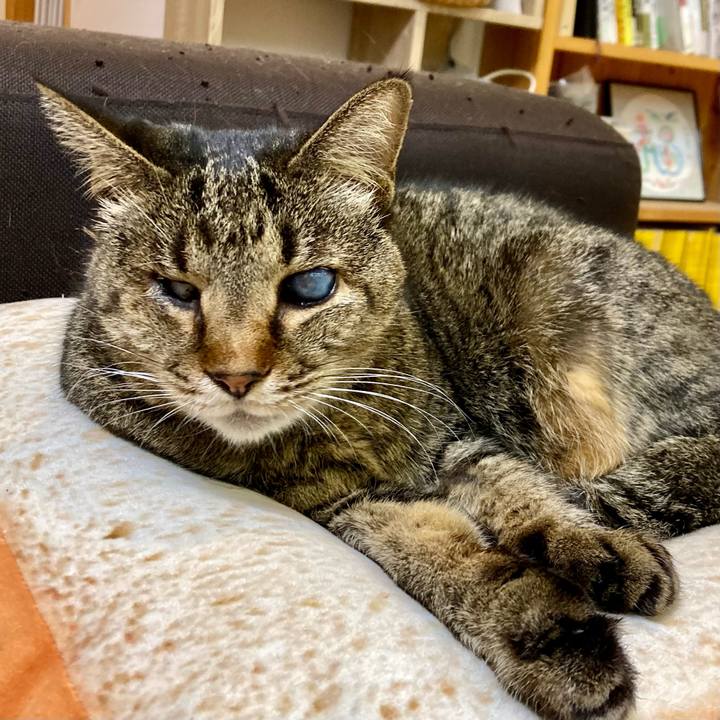 Abc87330 899f 4e27 886b f9e512dacd4e 1640591410710