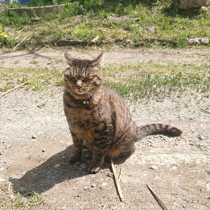 Abc878c3 fded 478f 8fd9 53e52d38f08d 1651916005169