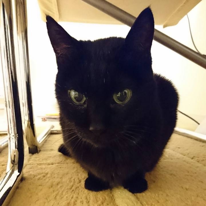 Abc88a35 5085 4b31 8ea7 2dc5100eadf3 1511184088562