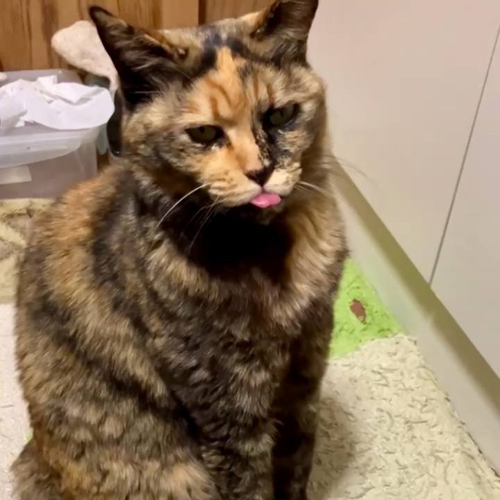 Abc89d89 663a 4e5b a8f2 1fabb03e262e 1740562619079