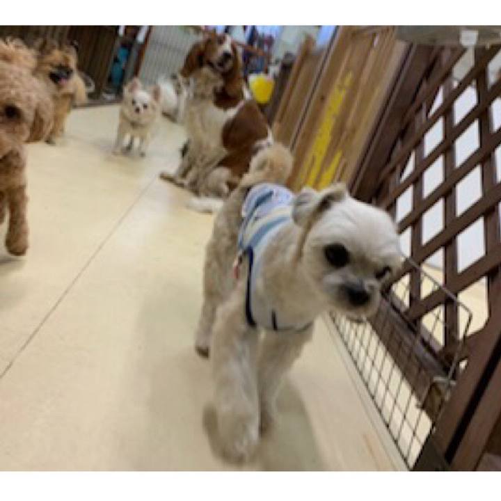 Abc8e5f0 6325 408e afe8 08b8a47b80e3 1558004461812