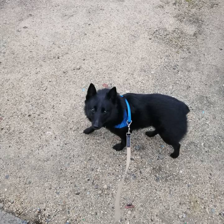 Abc908cc a463 4a16 a9af 4f1c3372f77c 1623791962272