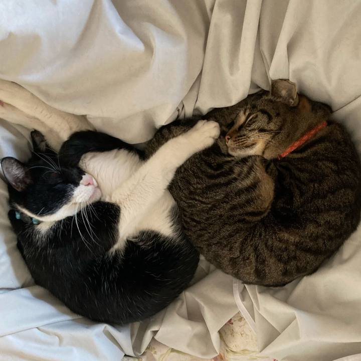 Abc914a8 d478 4484 b3ea 446bbcf3528f 1766377954645