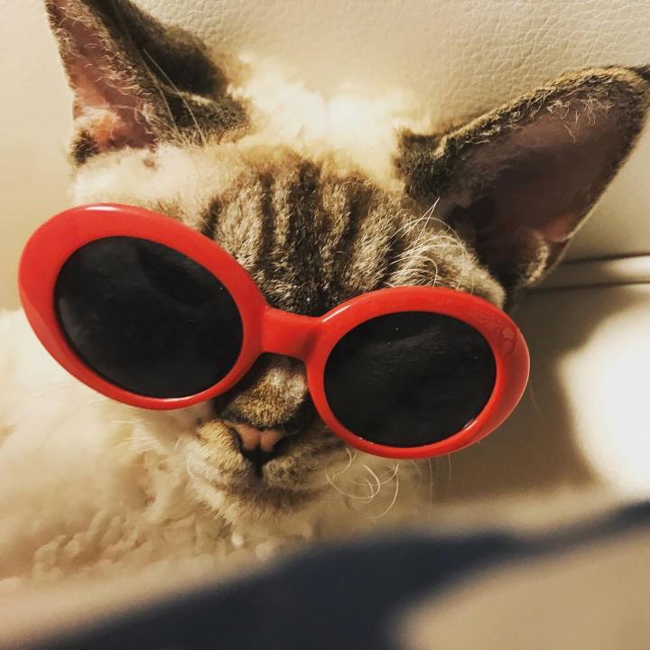 Abc92154 4e50 4fa6 b419 39ec8d697032 1659215058314