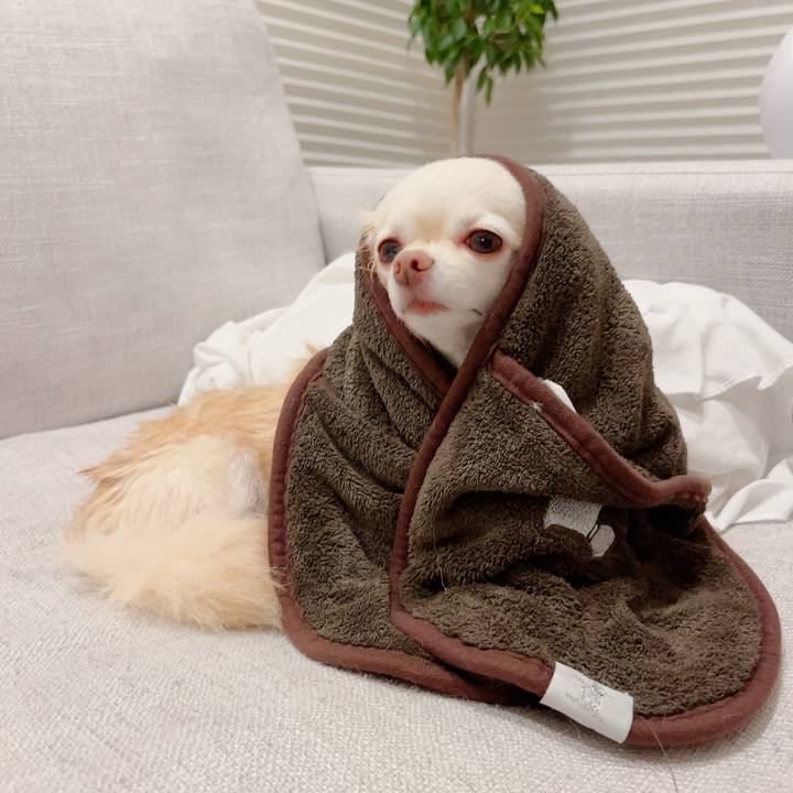 Abc92371 3358 4566 aba9 4cb00e30a194 1721050444060