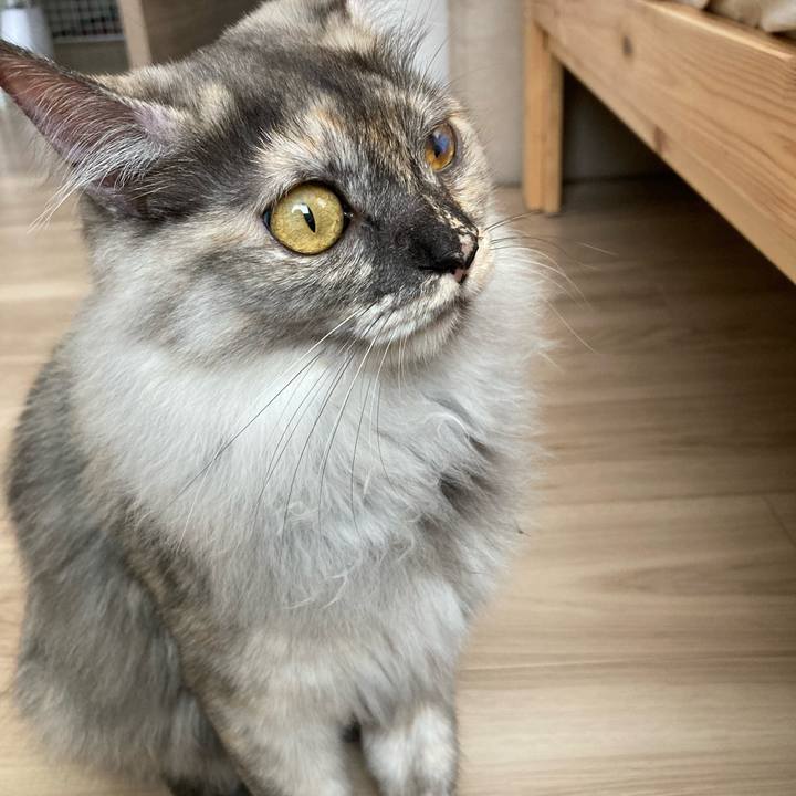 Abc95438 2567 43d0 860f 4620c335277d 1713060099656