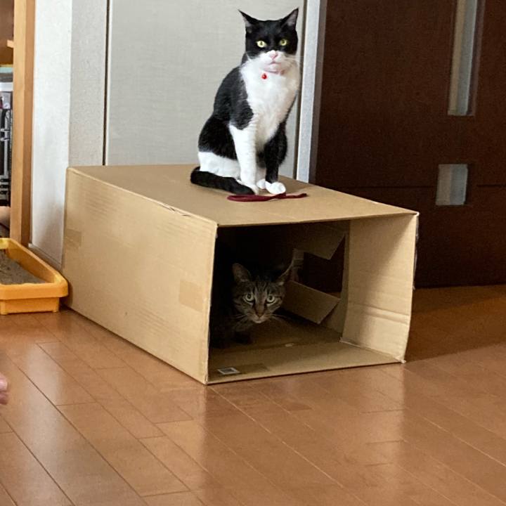 Abc98062 38a0 47ed ae9d f2192ab2529b 1653165918589