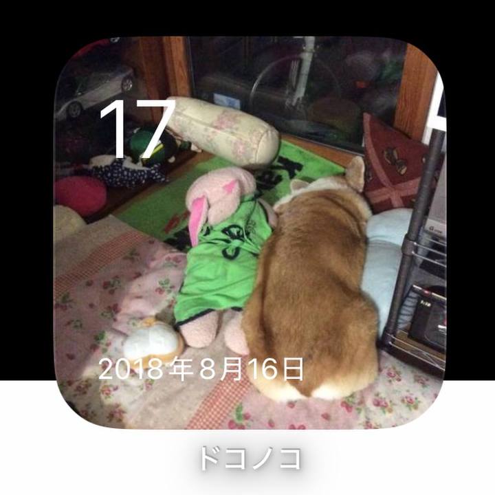 Abc9a7f0 a47c 4bca 8cab 32a02b4b5bad 1786965290597