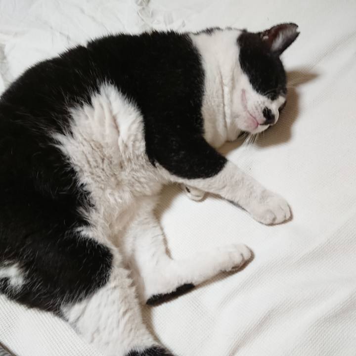 Abc9e76b 83f5 4c6e b28a d6780827ac96 1661829014626