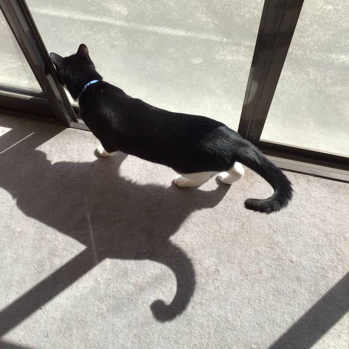 Abca4d9b e341 4566 bb55 c5aa8be63110 1678085066745