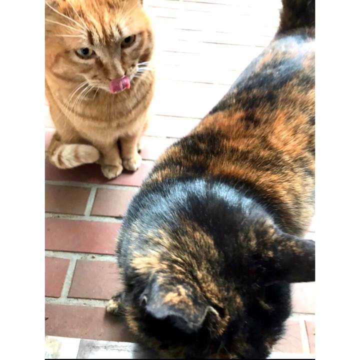 Abca939d c4fc 4d63 b95b ad7d1600be2e 1613784953018