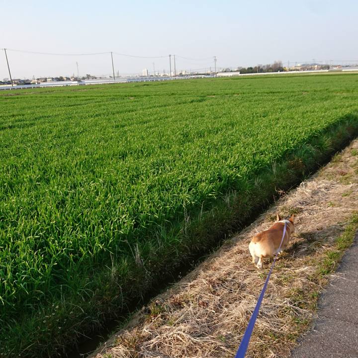 Abca93a6 7183 42c6 8a24 5322d30e7ca1 1584582185967