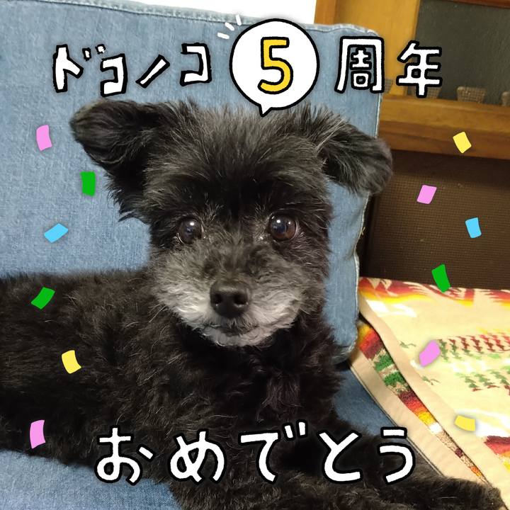 Abcab4fd 066c 40a2 98d8 3139db66277b 1622889079943