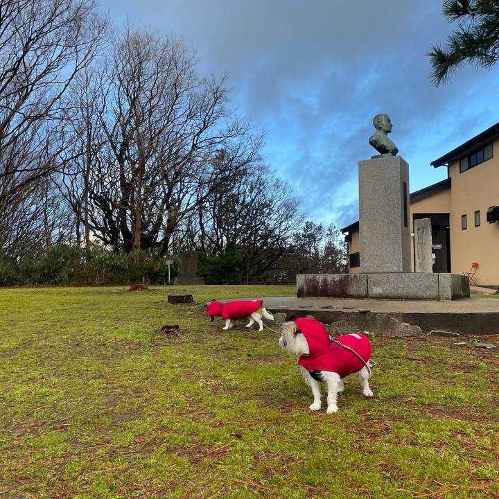 Abcaf30f 611b 4c74 92de 56ce4b0aa0b2 1708902687776