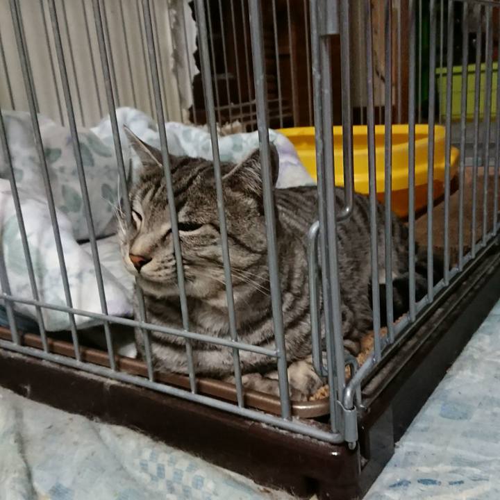 Abcb1ba8 2006 4bb0 a9e8 622c4761e98e 1510738877076