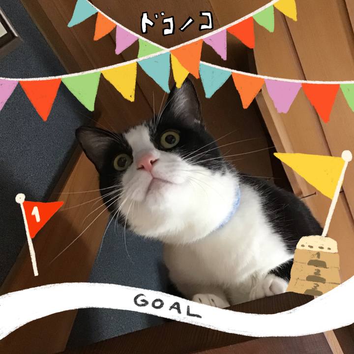 Abcb1f9c f5f7 4841 8906 ece0f6951c41 1729062210816