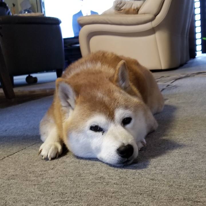 Abcb31ba 775b 475c 9fc7 60d8fbdf9ab1 1664927825389