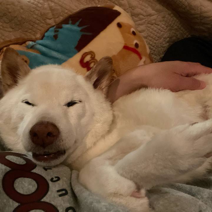 Abcb53a0 d028 4852 9e1c dfb08b5f6dc8 1646998027183