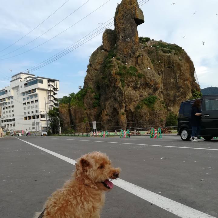 Abcbd3c8 d881 46e8 88d6 8c4a27ba62ff 1533876085599