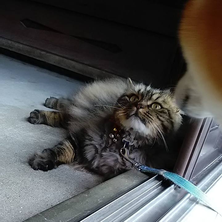 Abcbf1bd 34c0 4f9b 889e a6743b88548a 1623454490121