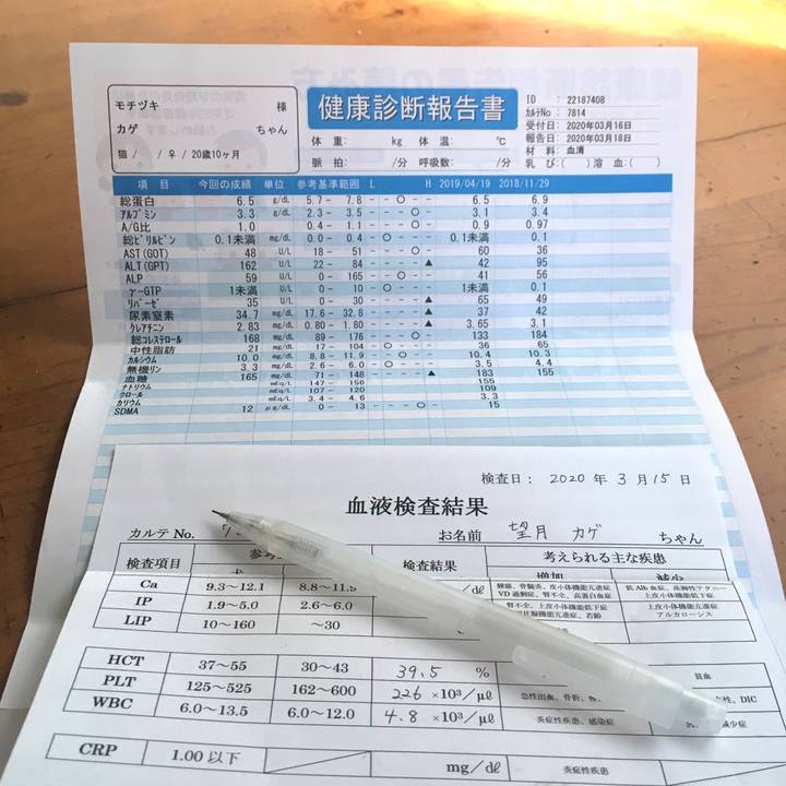 Abcbf81f 6cb4 405b 9a05 bcacac162919 1587523723735