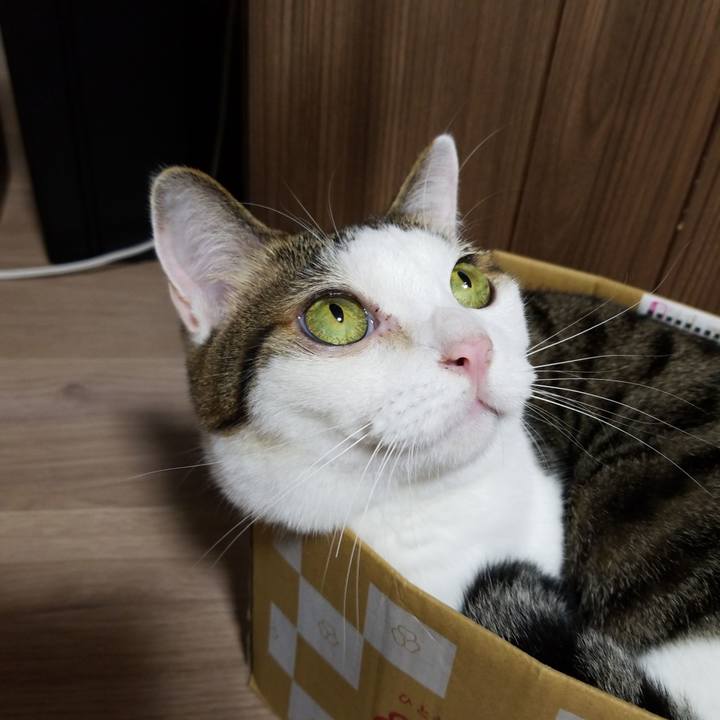 Abcc2906 506d 46ca b5ec 4f74b42a47dc 1567423945434