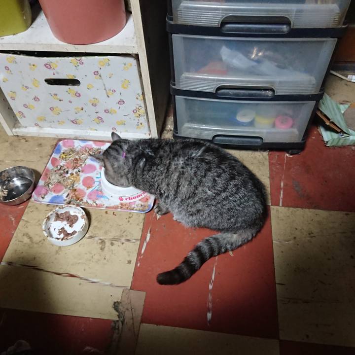 Abcc3036 c44a 4165 b717 0f82c9b9b259 1578258185132