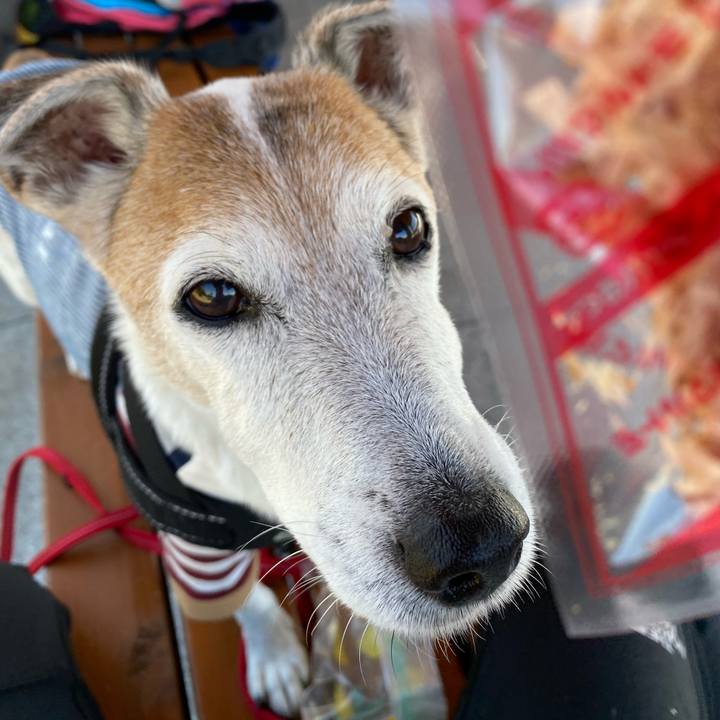 Abcc605d eb87 4d17 9021 edc3995e0759 1604399426904