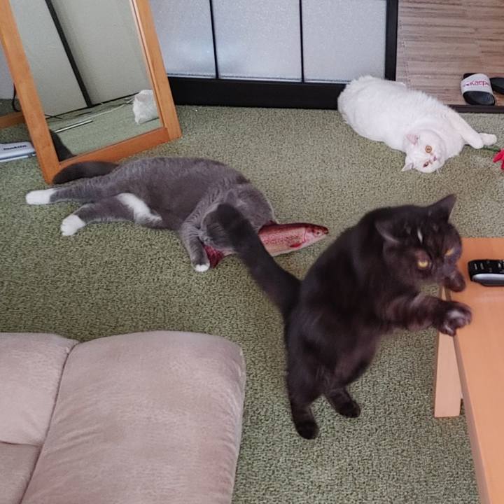 Abcca559 c0fa 40cc 8bed d23795d0c65a 1648254195396