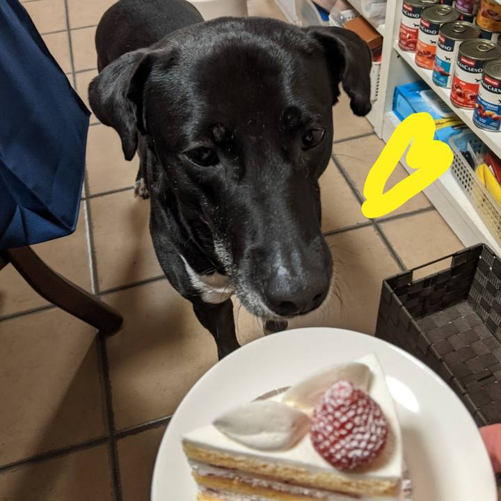 Abcca943 458f 4e6c 8206 5dfcee4904da 1650497652737