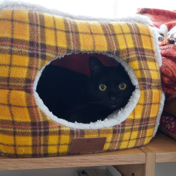 Abccc89b a45d 4cdd a19f d93bb5a78ea4 1607782858738