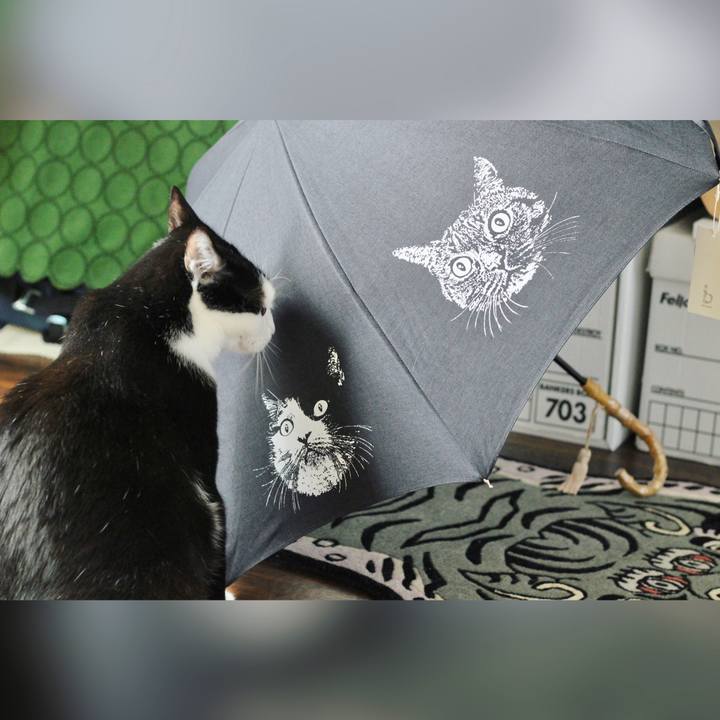 Abccf2b2 ead0 46b8 a419 606112f1e2af 1688338270099