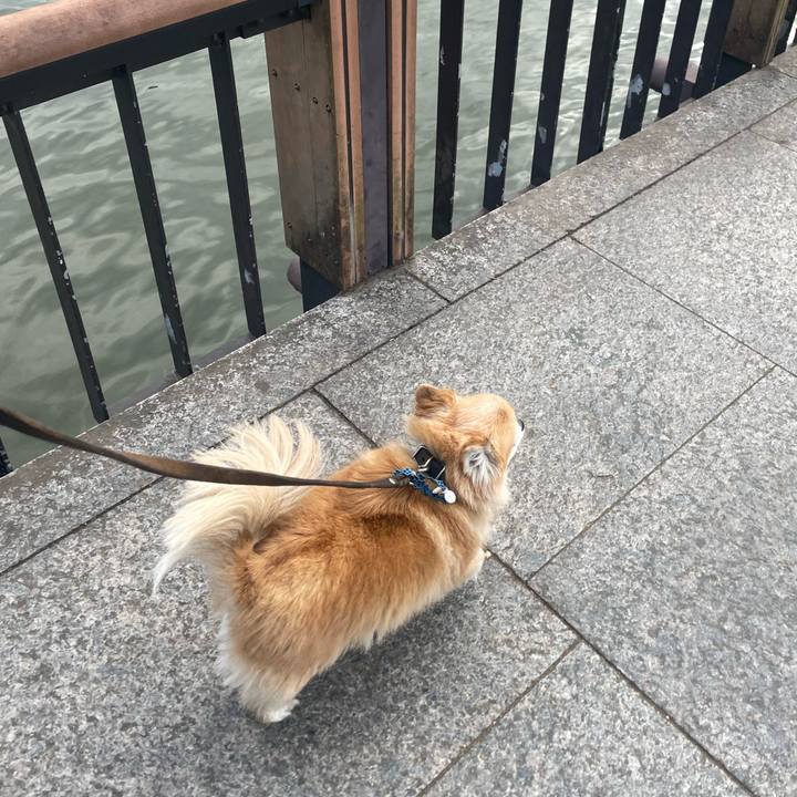 Abccf373 4d9c 4827 81cb 2c39370c8585 1764325603660