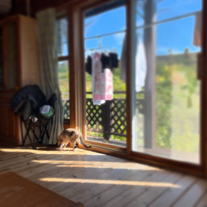 Abccf8e7 6e75 4288 b336 455c82eb01df 1731374109632