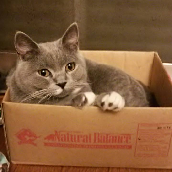 Abcd2976 1cb5 4218 bb46 99ead6c93f9d 1540210215642