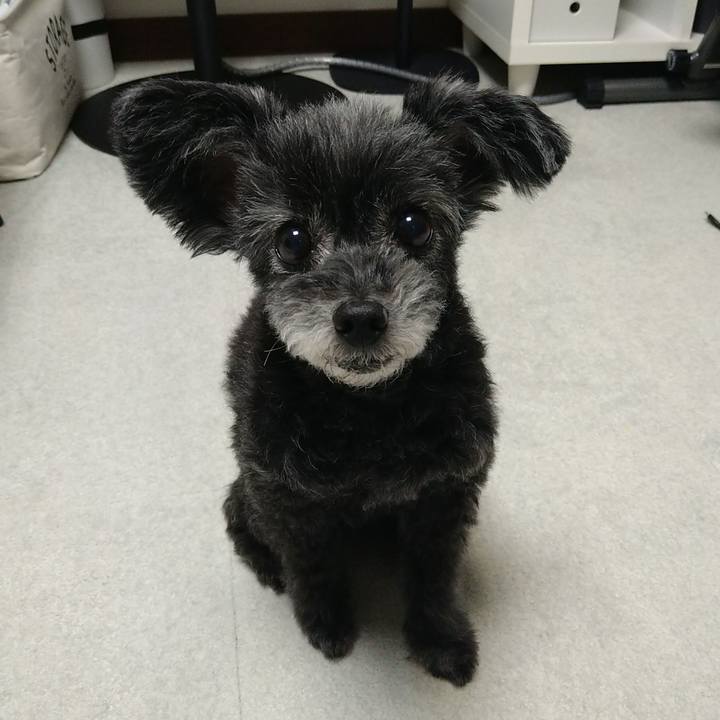 Abcd3e97 6fe3 4e45 b4b4 8efe436381f5 1725552370000