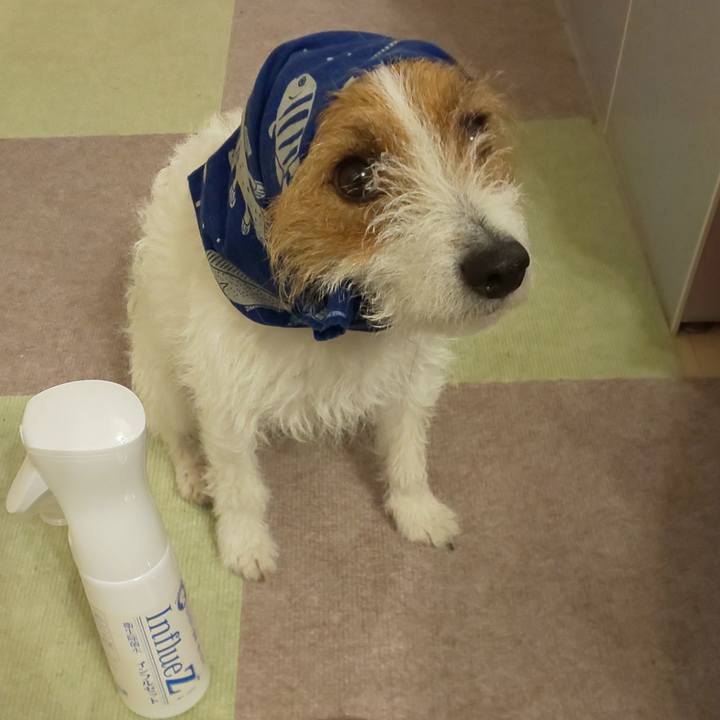 Abcd50ec 49e2 450c 9cd0 4ea18b96570e 1583834937814