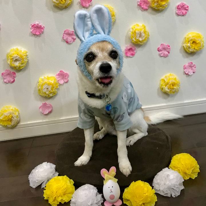 Abcd52c9 67bd 46fe ae11 0aa3a83a7347 1650154219113