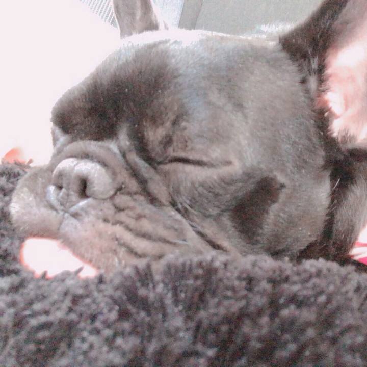 Abcd5be2 b934 4b23 a3bc 434c5df6f226 1529066734477