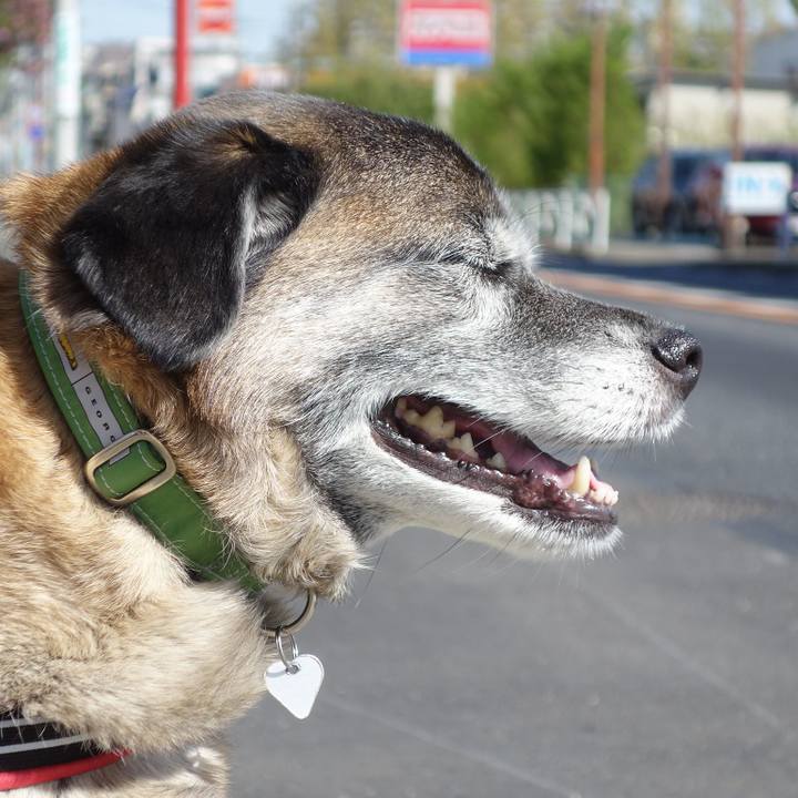 Abcd61e5 1484 4f32 956d 946cbb771bdb 1633734676387