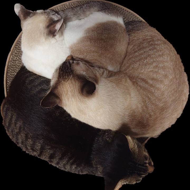 Abcd77ef 5dd6 4e84 9d29 dd500a49c09f 1726486842268