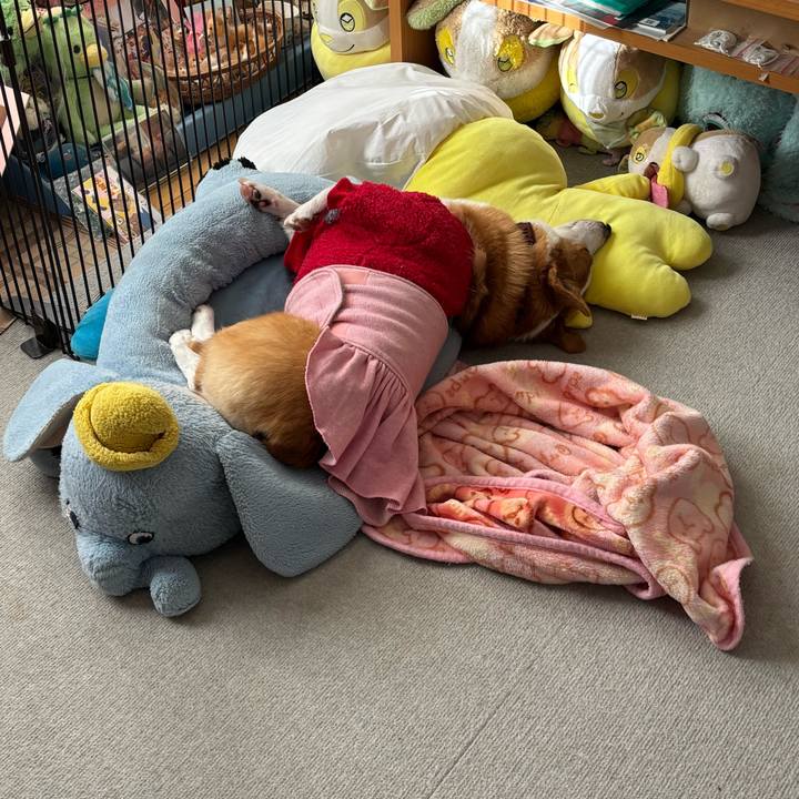 Abcdab45 b0c7 4459 a0b0 ace70f7249bb 1765862351905