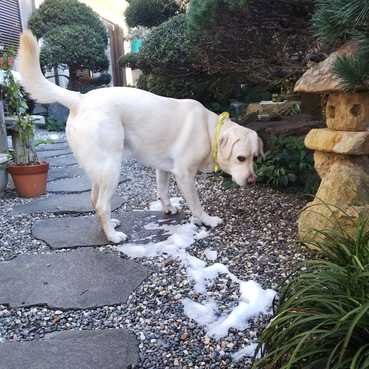 Abcdcda5 fdae 4007 be28 f6df56e39b5d 1516791266034