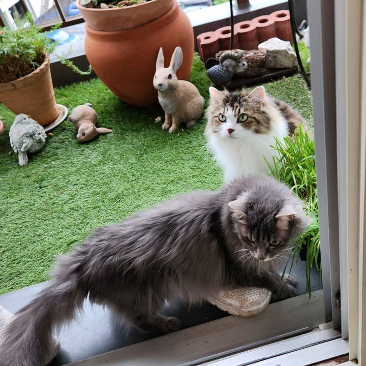 Abcde872 eb47 4746 b4ba 827c8d370e9f 1719616691491