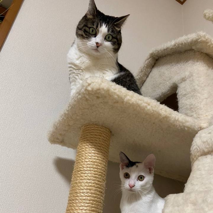 Abce0eab 5c10 43b1 b583 55ae54b917c0 1667645350788